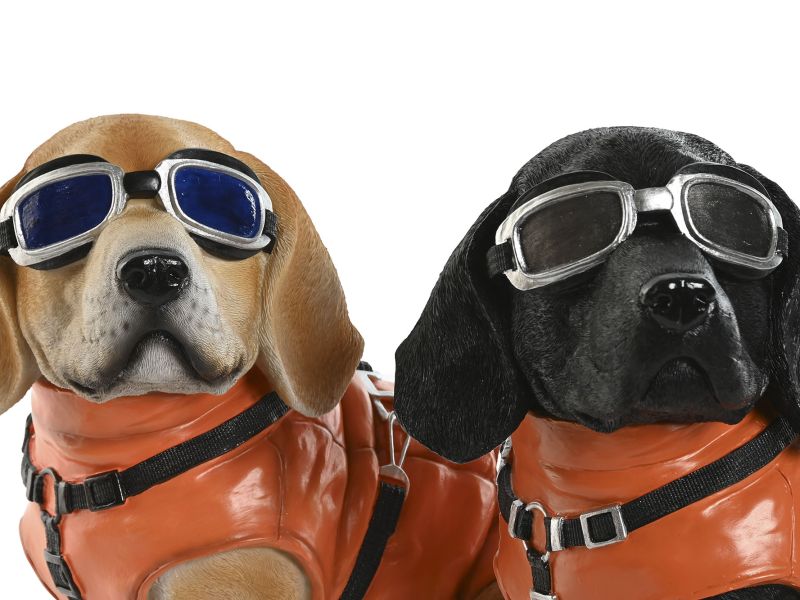 Aventureros Caninos con Estilo