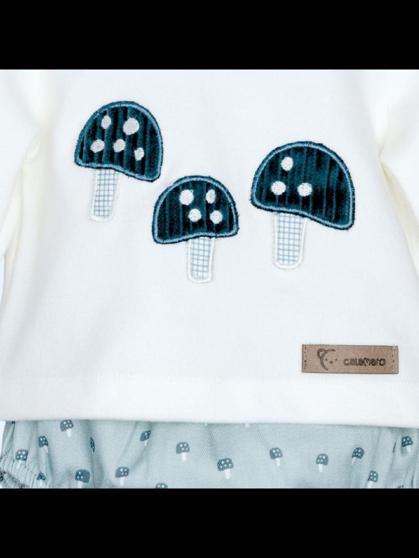 Conjunto pololo Caldas verde