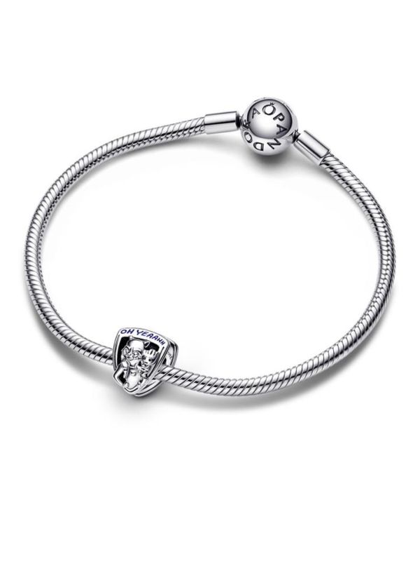 Charm Emblema Raccoon pulsera