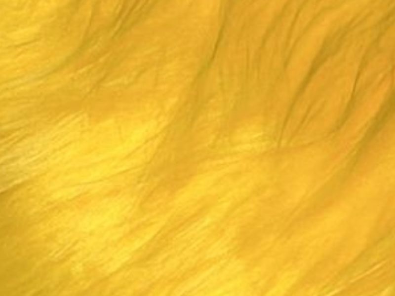 Dacha pelo largo AMARILLO