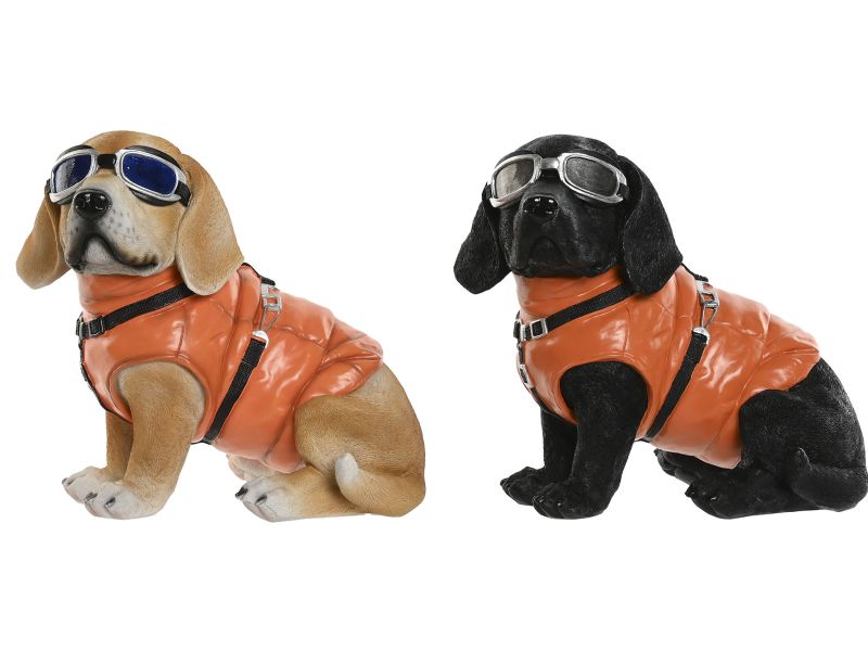 Aventureros Caninos con Estilo