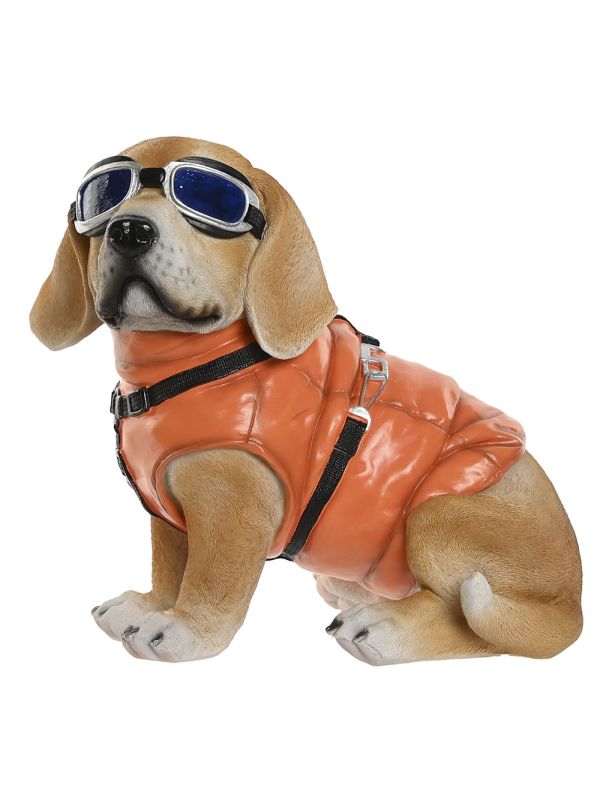 Aventureros Caninos con Estilo