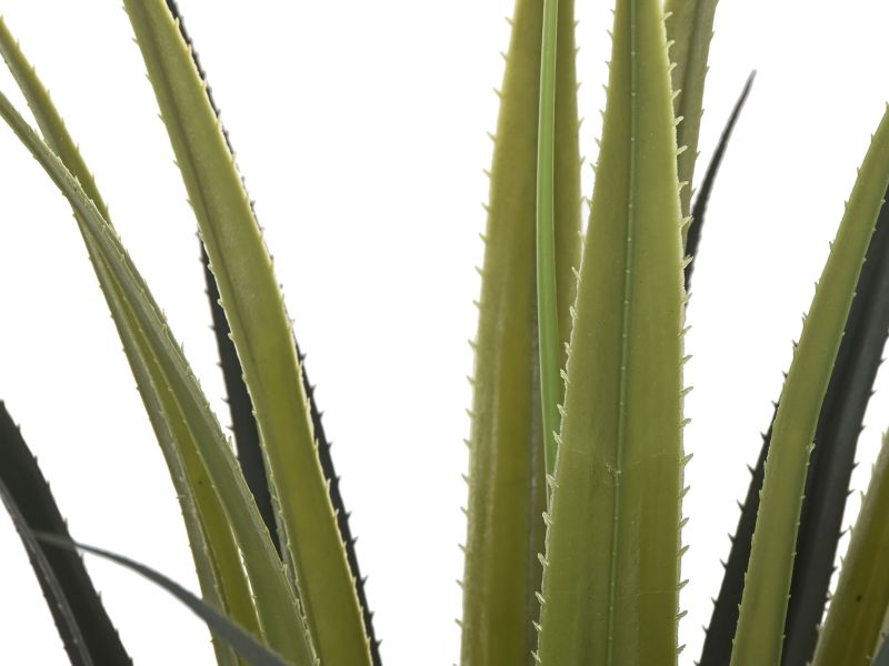 Agave Decorativo en Maceta Negra