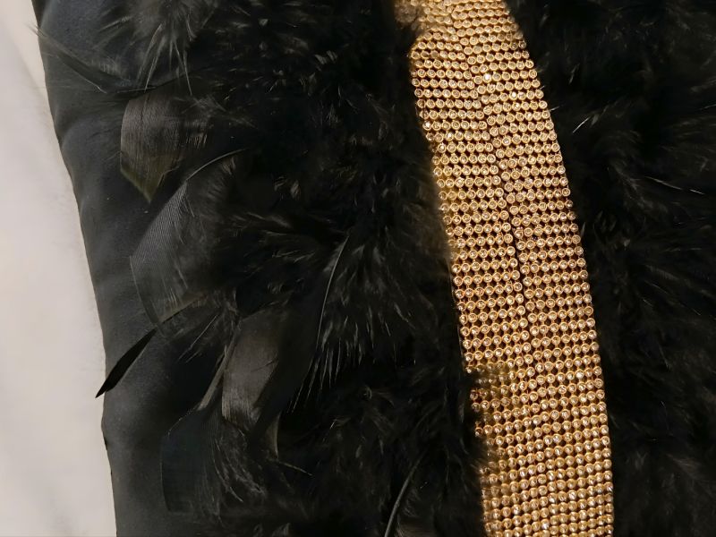 Cojín negro con banda de pedrería y plumas