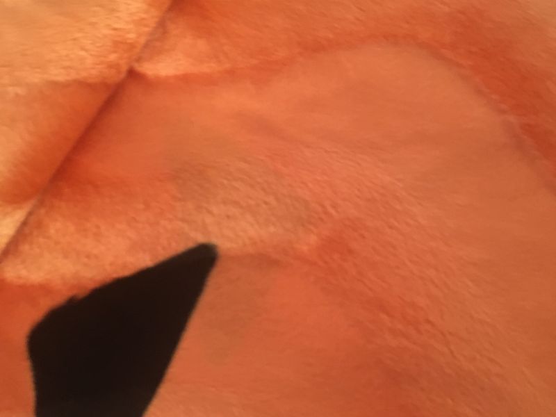 Peluche pelo corto PEDRO PICAPIEDRAS