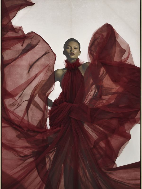 Figura Elegante en Burdeos