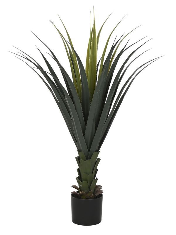Agave Decorativo en Maceta Negra