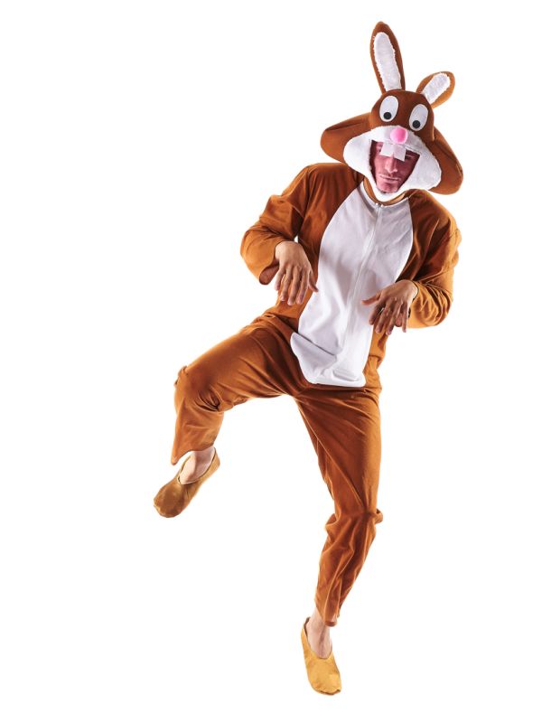 Disfraz de Conejo