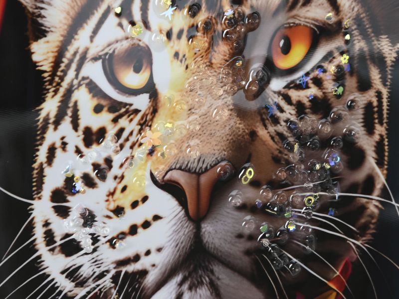 La Pasarela de las Fieras