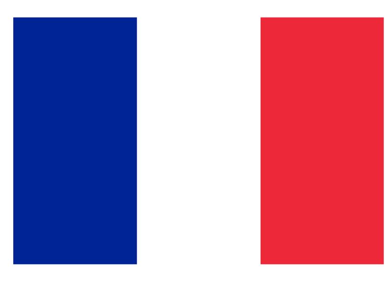 Bandera de Francia Satén