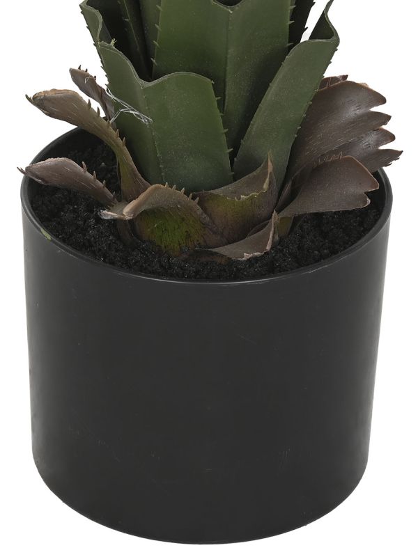 Agave Decorativo en Maceta Negra