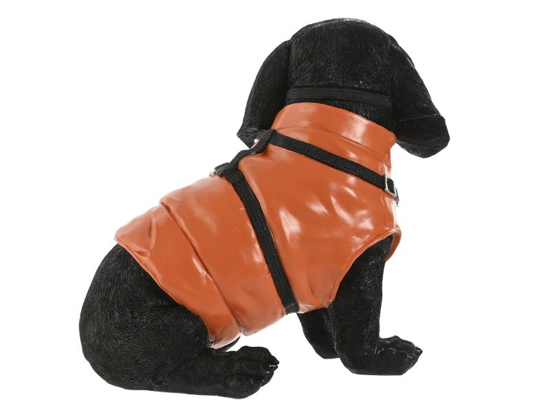 Aventureros Caninos con Estilo