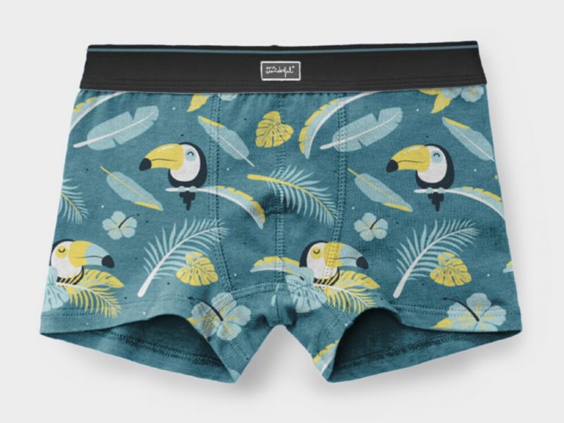 Pack 2 Boxer Mr. Wonderful