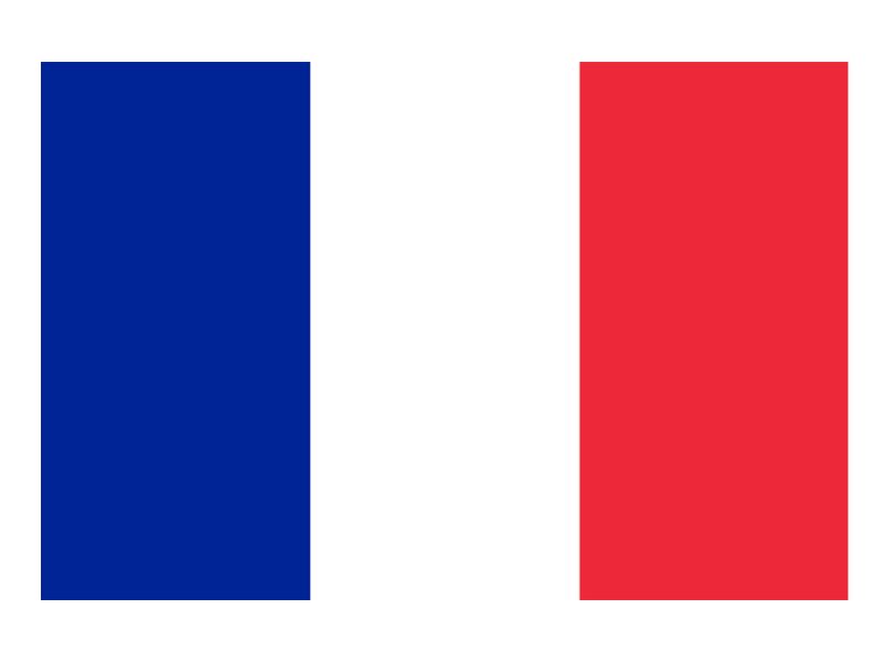Bandera de Francia Satén