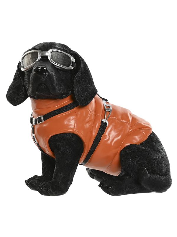 Aventureros Caninos con Estilo