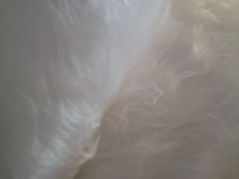 Dacha pelo largo BLANCO 