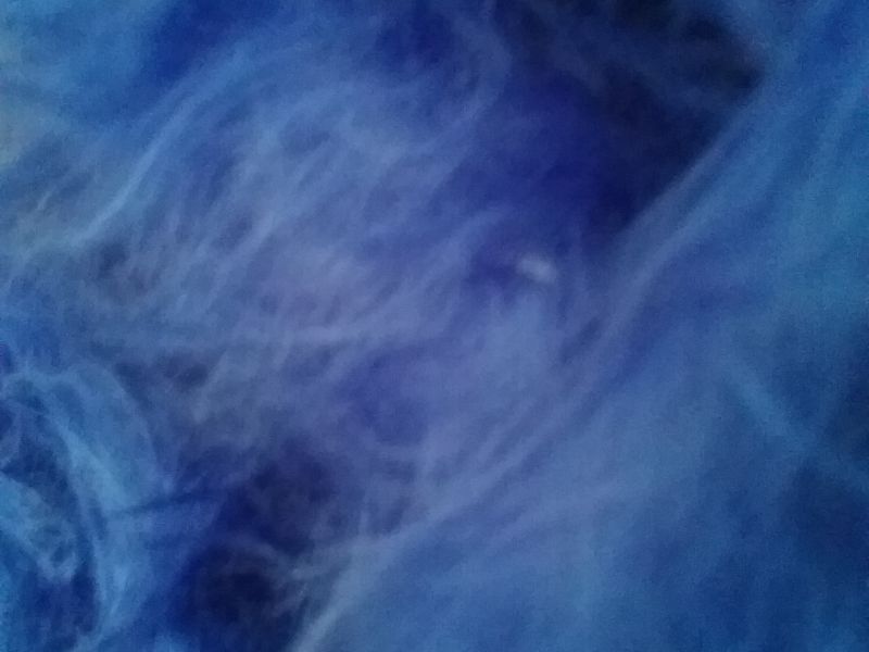 Dacha pelo largo AZULON