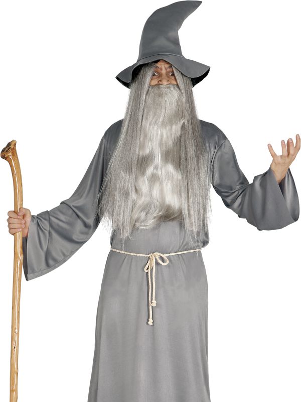 Disfraz de Mago Gris