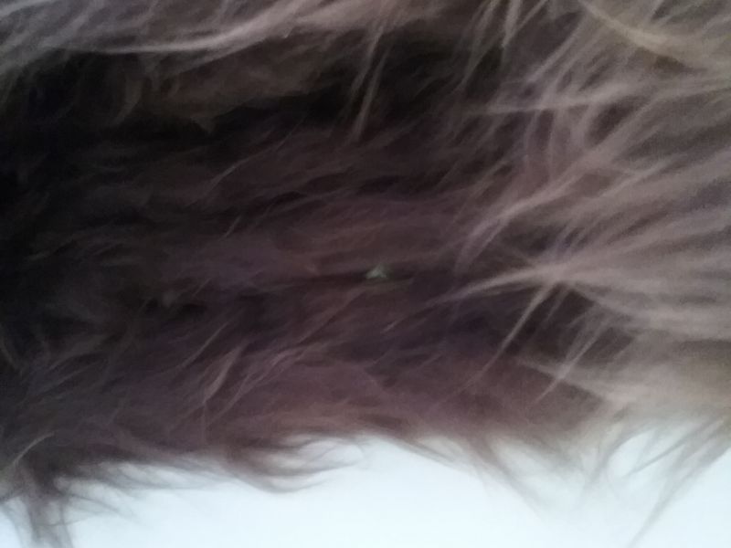 Dacha pelo largo MARRON