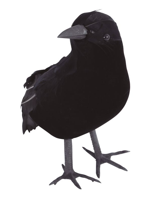 Cuervo decorativo para Halloween