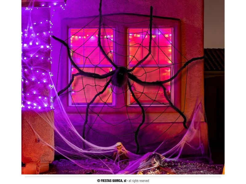 Telaraña con araña gigante