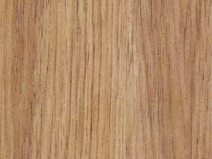 Pletina Acero Desnivel