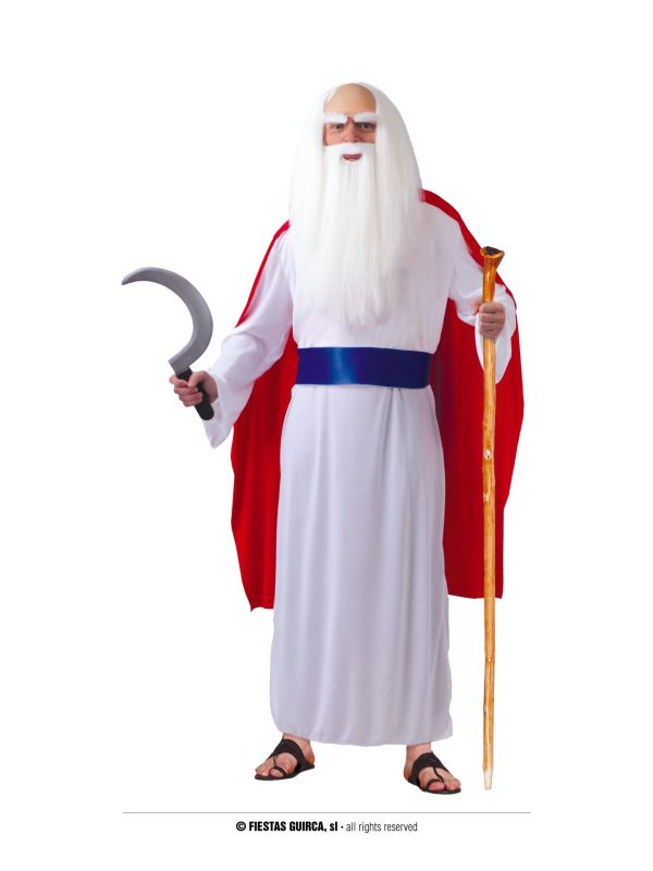 Disfraz de Druida