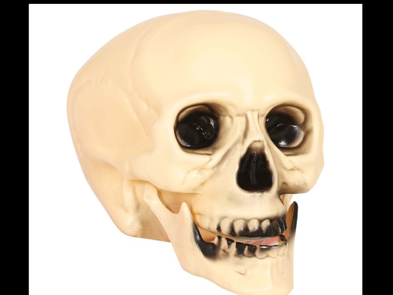 Calavera para halloween