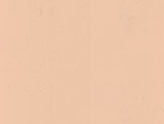 Revestimiento Acrílico Liso Fachadas