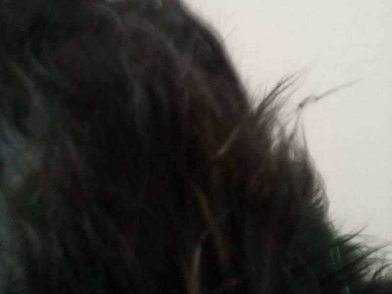 Dacha pelo largo NEGRO