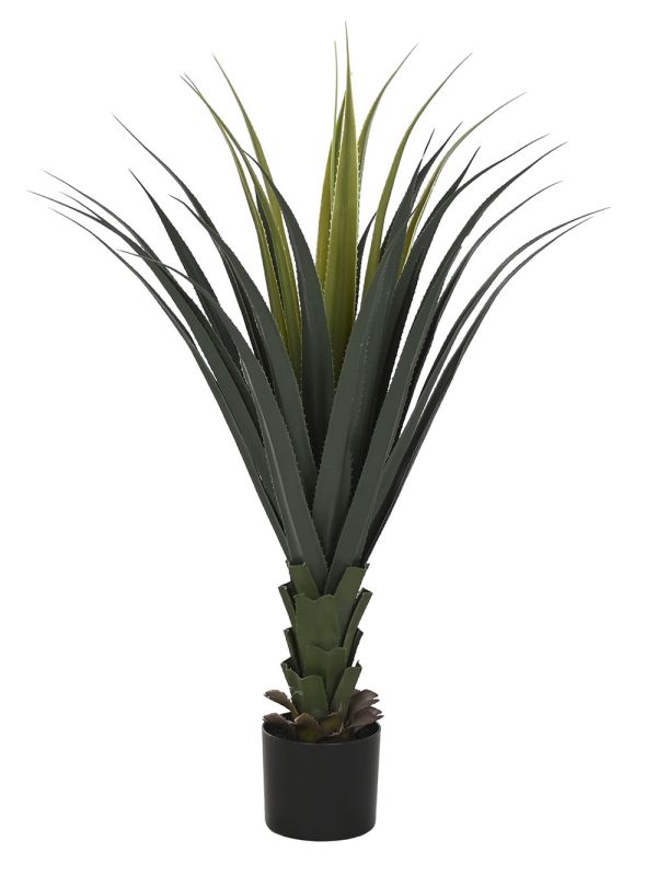 Agave Decorativo en Maceta Negra