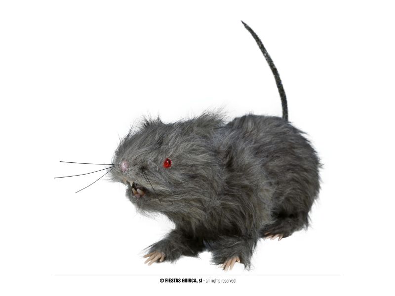 Rata con luz