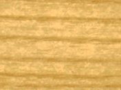 Barniz Brillante Incoloro