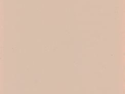 Revestimiento Acrílico Liso Fachadas